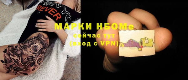 индика Киров