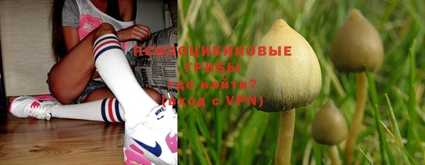 мяу мяу мука Карпинск