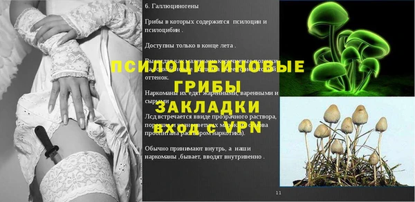 герыч Касимов
