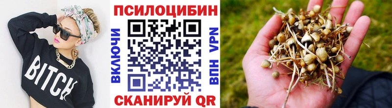Купить закладки  Кодинск  Псилоцибиновые грибы GOLDEN TEACHER 